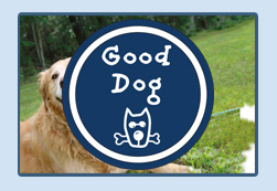 Life is Good - Good Vibes